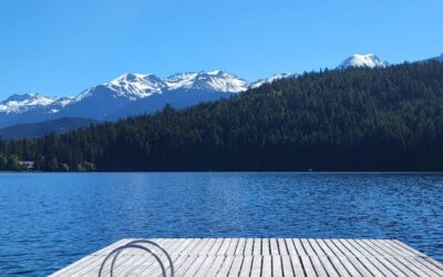 Whistler Investment Property: Hands-On or Hands-Off?