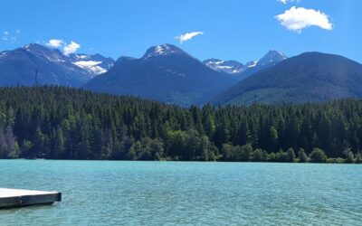 Q2 Whistler Market Update