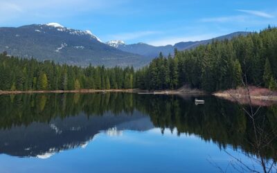 Q1 2026 Whistler Market Update