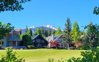 2026 Whistler Mid Year Market Review
